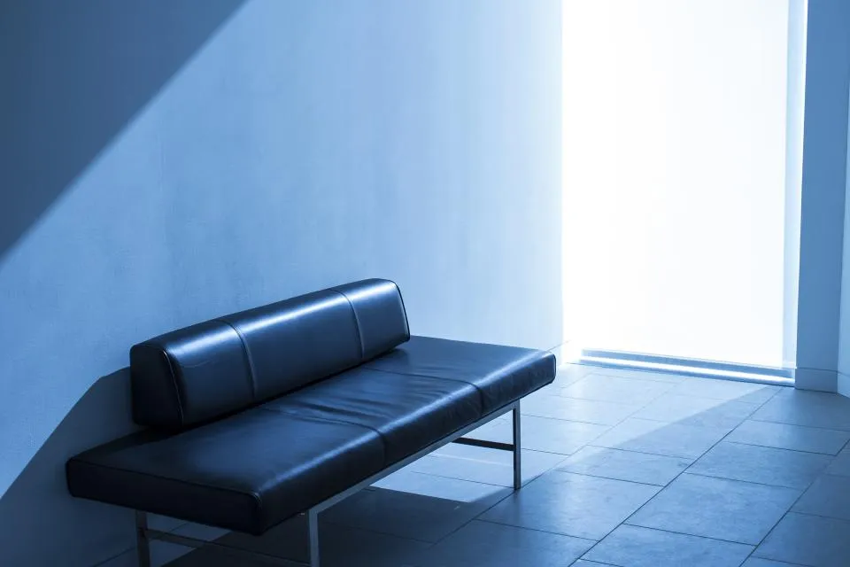 Couch & Upholstery Cleaning in Dallas, TX
